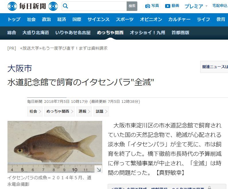 記事紹介だけのtweetがバズった_c0025115_21213858.jpg