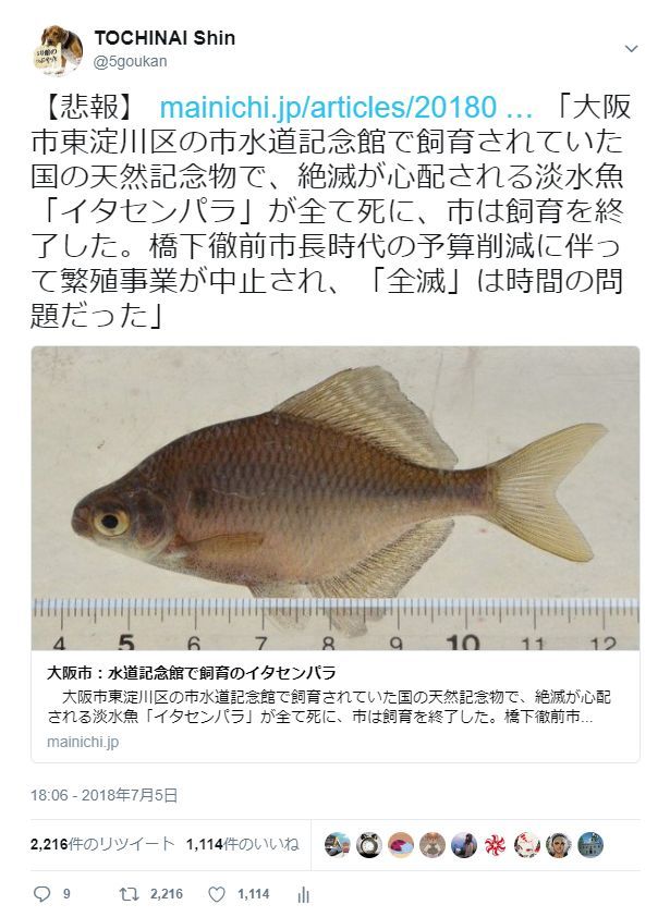 記事紹介だけのtweetがバズった_c0025115_21214536.jpg