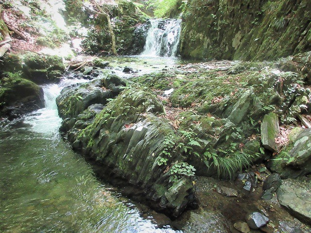 檜原村 南秋川渓谷 小坂志川で沢登り Stream Climbing At Kozakashigawa In Hinohara Tokyo やっぱり自然が好き