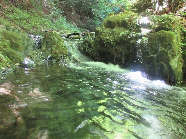 檜原村 南秋川渓谷 小坂志川で沢登り Stream Climbing At Kozakashigawa In Hinohara Tokyo やっぱり自然が好き