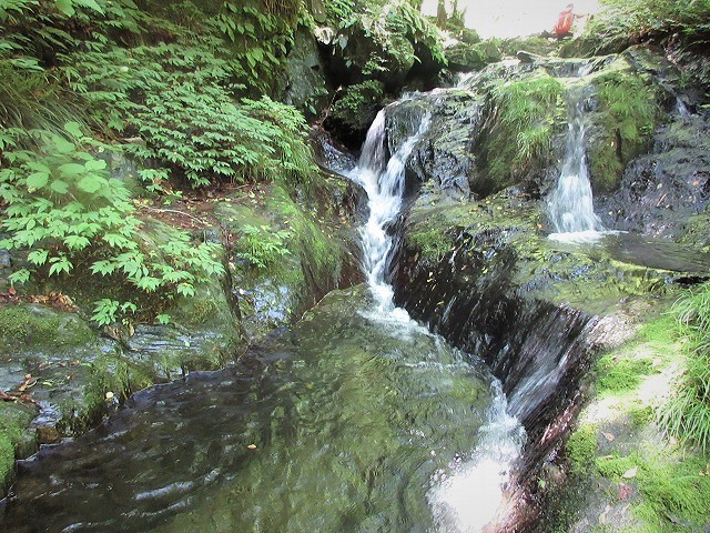 檜原村 南秋川渓谷 小坂志川で沢登り Stream Climbing At Kozakashigawa In Hinohara Tokyo やっぱり自然が好き