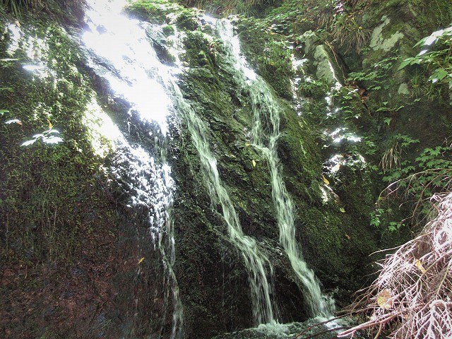 檜原村 南秋川渓谷 小坂志川で沢登り Stream Climbing At Kozakashigawa In Hinohara Tokyo やっぱり自然が好き 檜原村 南秋川渓谷 小坂志川で沢登り Stream Climbing At Kozakashigawa In Hinohara Tokyo やっぱり自然が好き