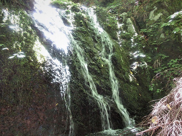 檜原村 南秋川渓谷 小坂志川で沢登り Stream Climbing At Kozakashigawa In Hinohara Tokyo やっぱり自然が好き