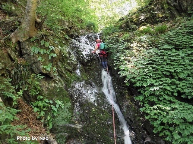 檜原村 南秋川渓谷 小坂志川で沢登り Stream Climbing At Kozakashigawa In Hinohara Tokyo やっぱり自然が好き