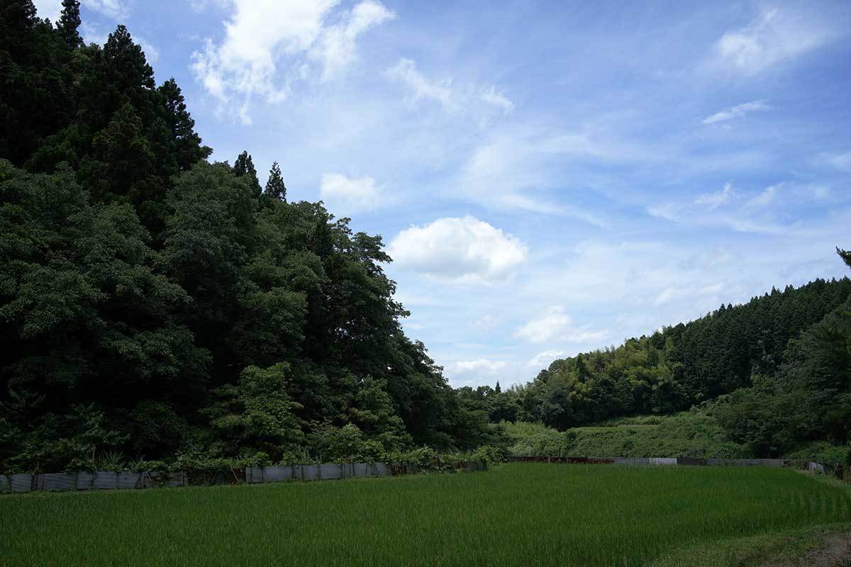 出雲　須我神社で御朱印3_c0064025_14071840.jpg