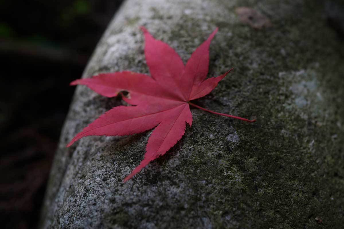 出雲　須我神社で御朱印3_c0064025_14131382.jpg