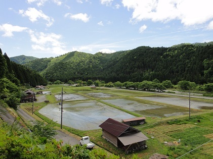 d0041427_00363148.jpg