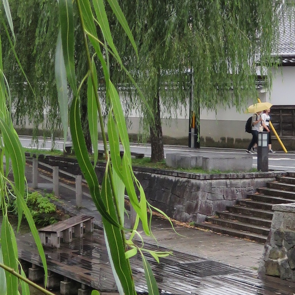 d0352628_14413860.jpg