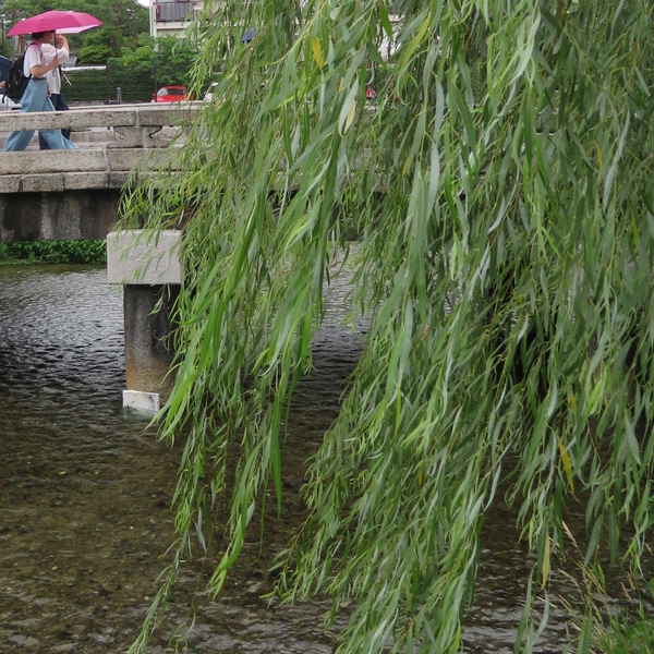 d0352628_14432165.jpg