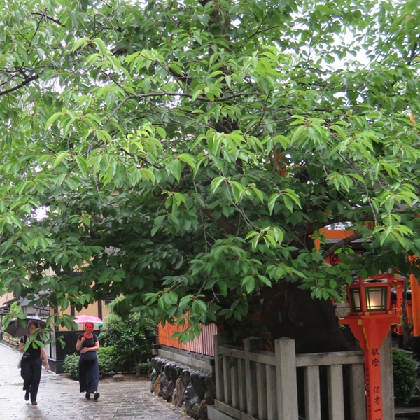 d0352628_1510750.jpg