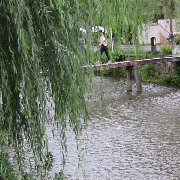 d0352628_1545695.jpg