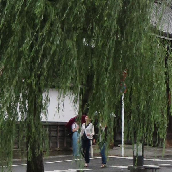 d0352628_1624678.jpg