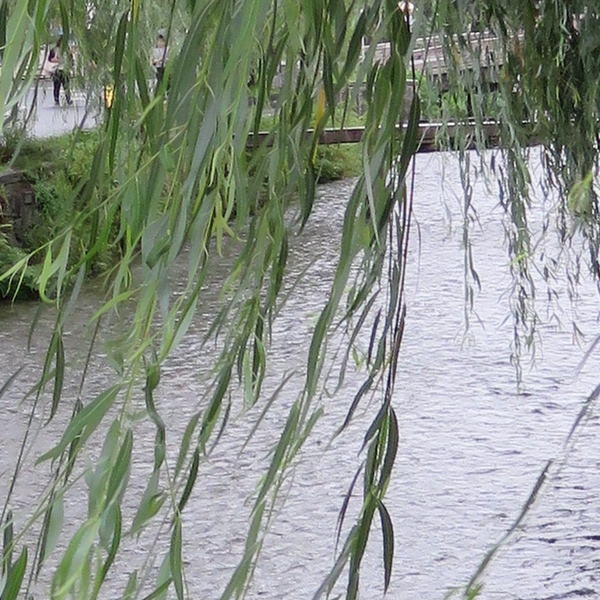 d0352628_16282917.jpg
