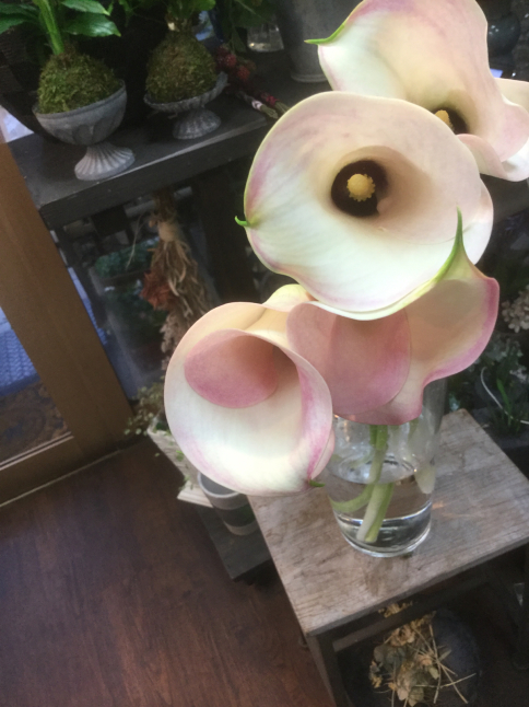 カラー キャプテンロゼット を束ねて花束に ルーシュの花仕事 カラー キャプテンロゼット を束ねて花束に ルーシュの花仕事