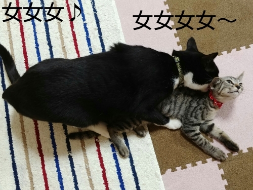 e0338831_09090220.jpg