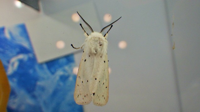 f0118332_15090561.jpg