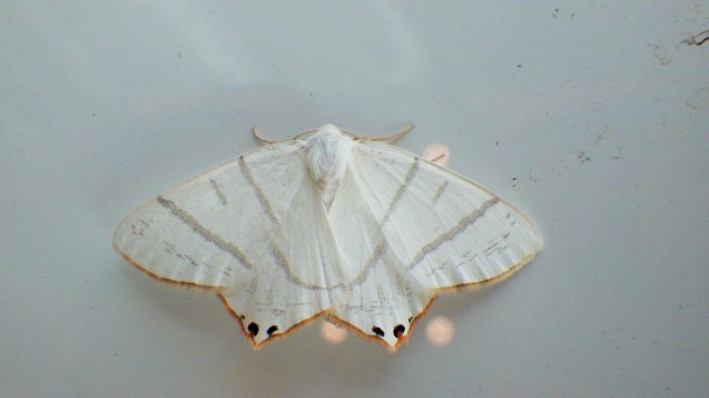 f0118332_15092280.jpg