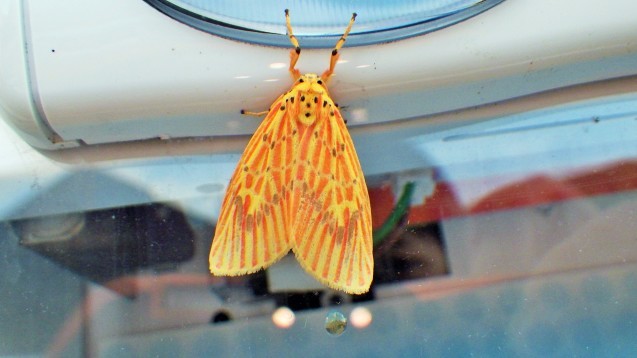 f0118332_15093184.jpg