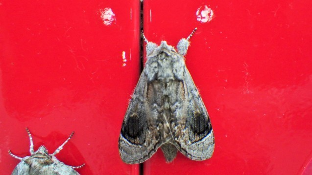 f0118332_15105484.jpg