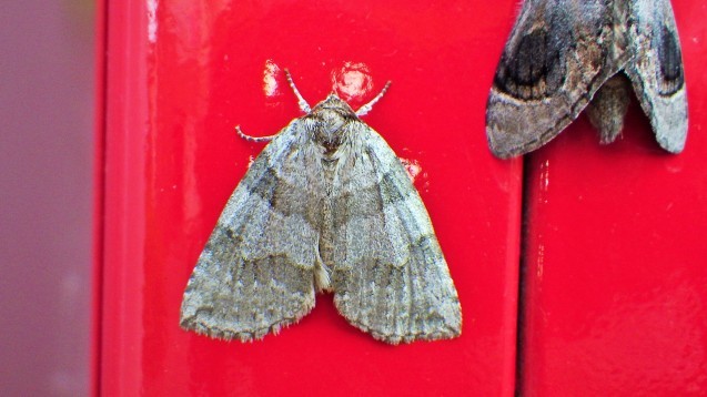 f0118332_15110001.jpg