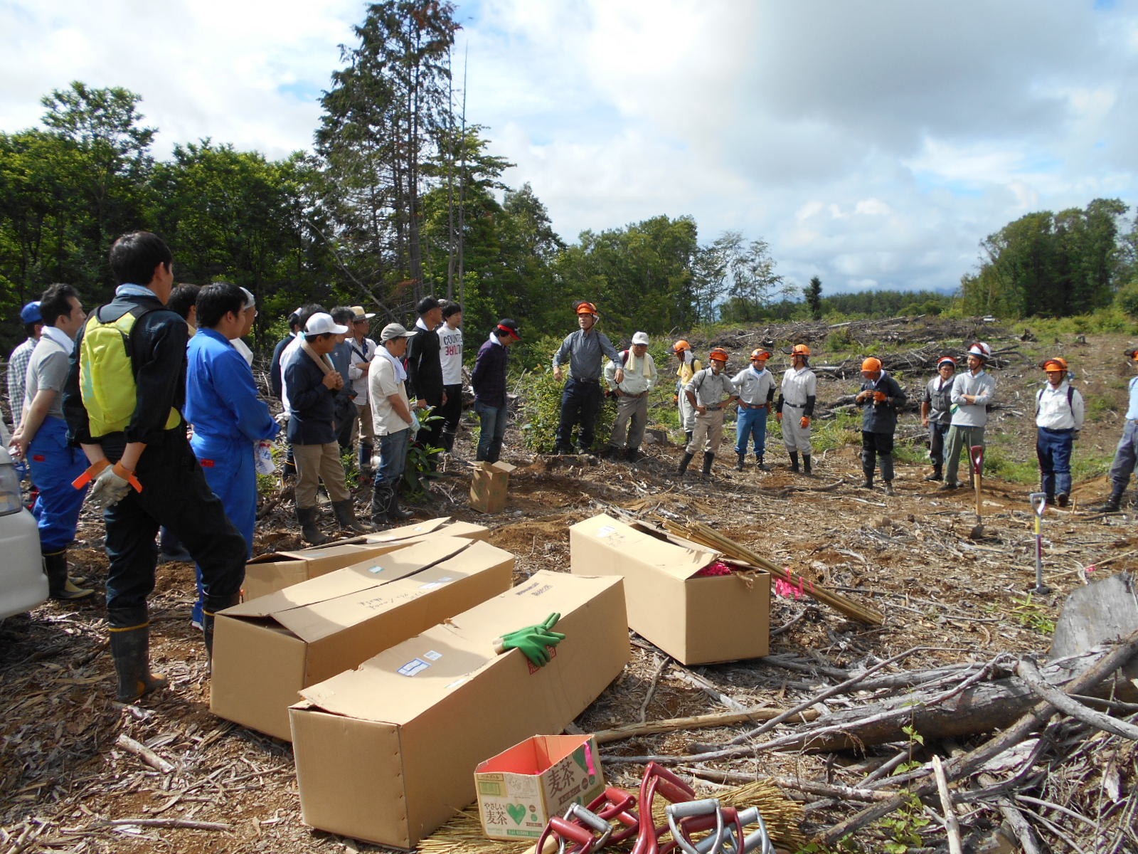 植樹活動企業参加_f0161535_00094414.jpg