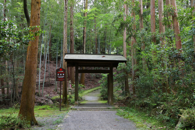 キラク写真講座 新緑撮影会① 正伝寺　_e0369736_10212304.jpg