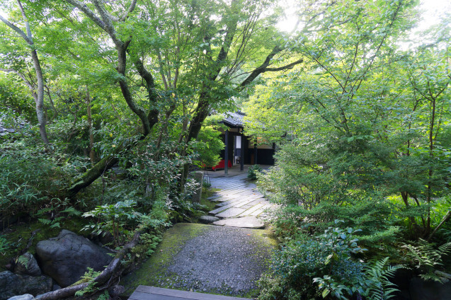 キラク写真講座 新緑撮影会② リストランテ愛染倉_e0369736_12111382.jpg