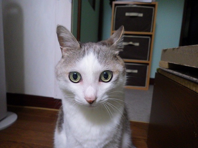 a0337237_15565857.jpg