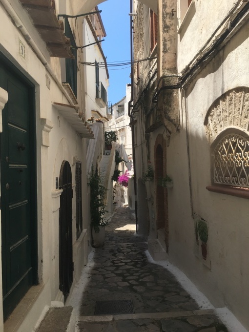 c0260942_02451120.jpeg