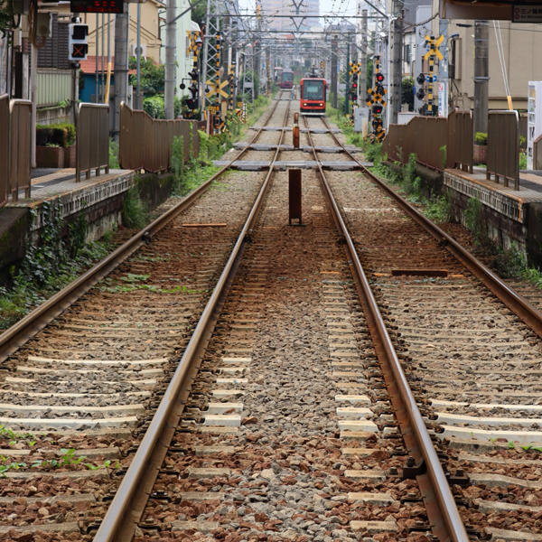 今年起こった良いことなんて、数え切れない_c0060143_21020663.jpg