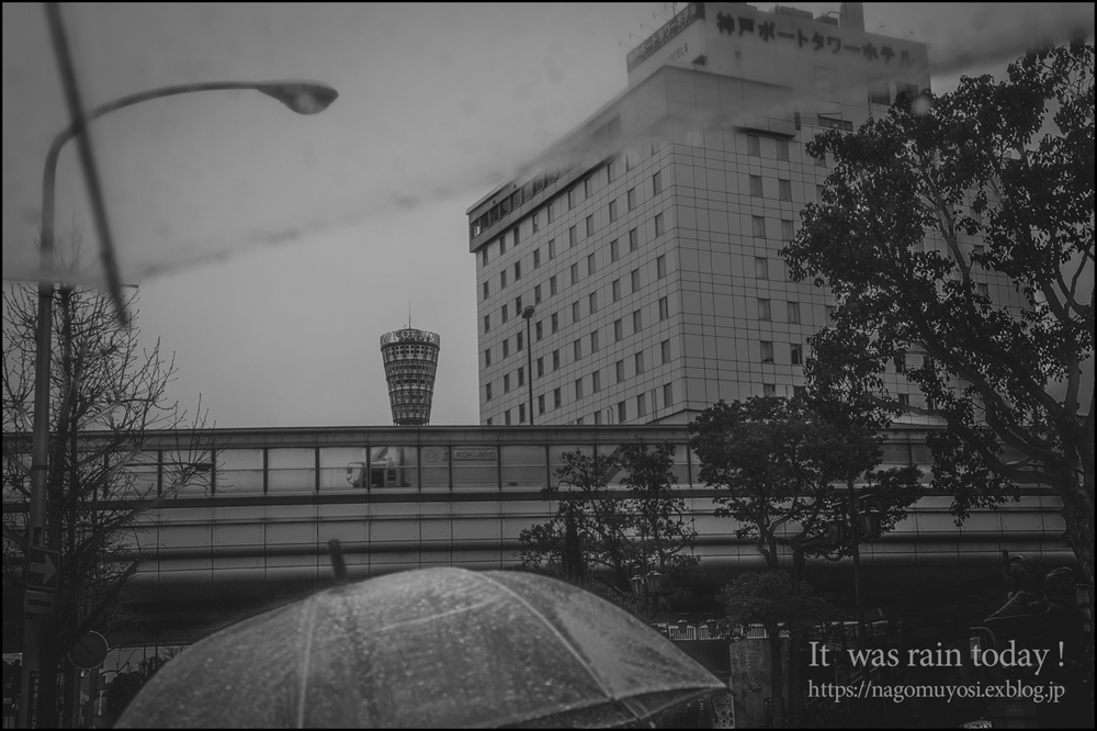 c0187744_20222737.jpg