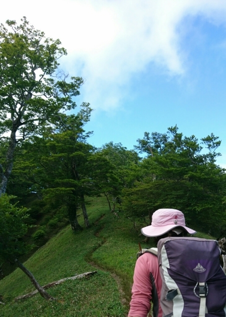 大峰　行者還トンネル東口〜弥山&八経　ピストン_b0148050_14523294.jpg