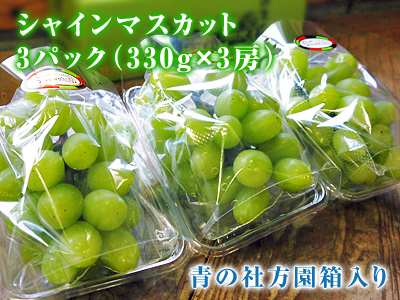 熊本ぶどう　社方園　本日(7/6)初出荷！朝採りの高級種なしぶどうを大好評販売中！_a0254656_18443045.jpg