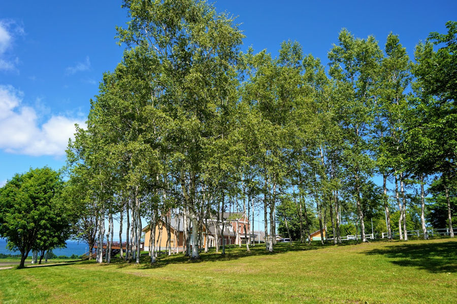 e0256058_22530136.jpg