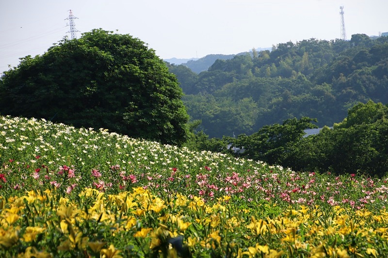 a0167759_0158100.jpg