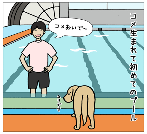 エフ漫画『エフの教え3』_c0033759_20022364.jpg