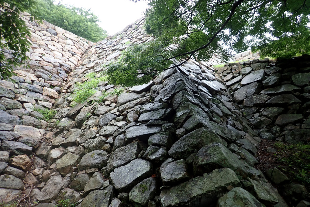 d0090161_08552576.jpg