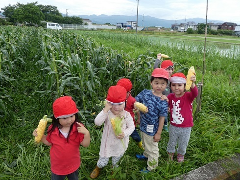 サツマイモのプレゼント大作戦、無事に植え付け終わりました！_e0272869_12015197.jpg