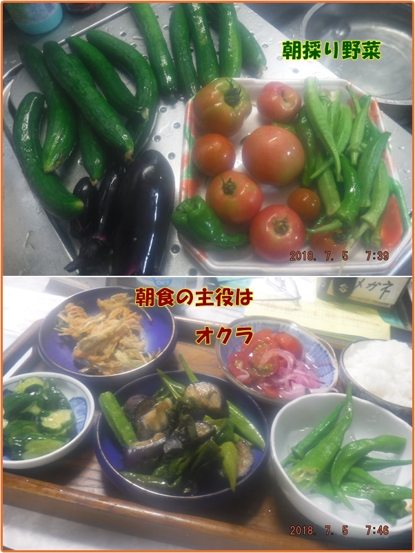 朝は聖徳太子　　今日の料理はオクラが主役_d0007071_07234047.jpg