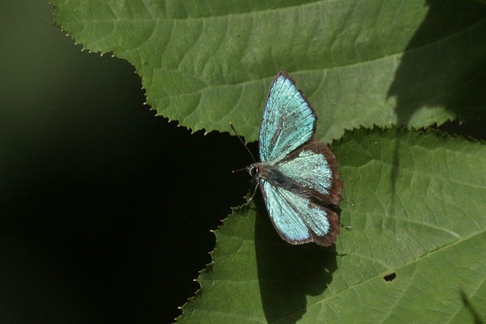 b0088772_14094743.jpg