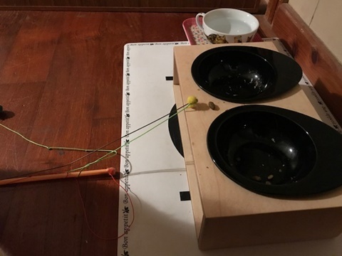e0359604_12444016.jpg