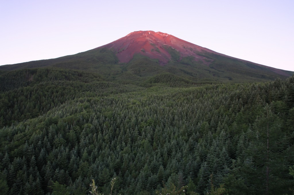 a0188405_15502739.jpg