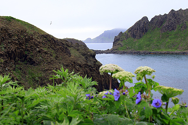 b0014607_22005140.jpg