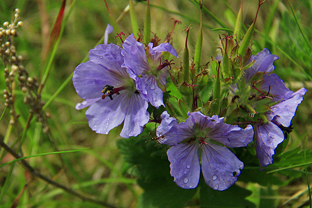 b0014607_22035266.jpg