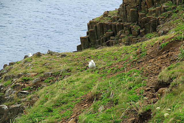 b0014607_22062267.jpg