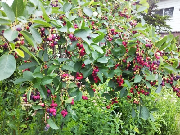 f0316507_19513923.jpg
