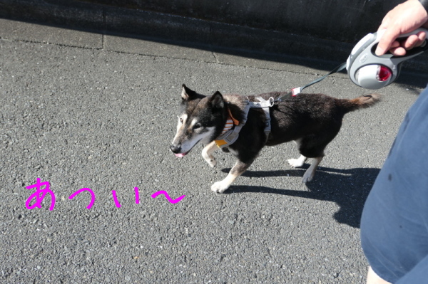 f0369014_14311974.jpg