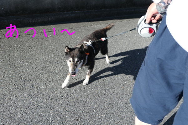 f0369014_14315031.jpg