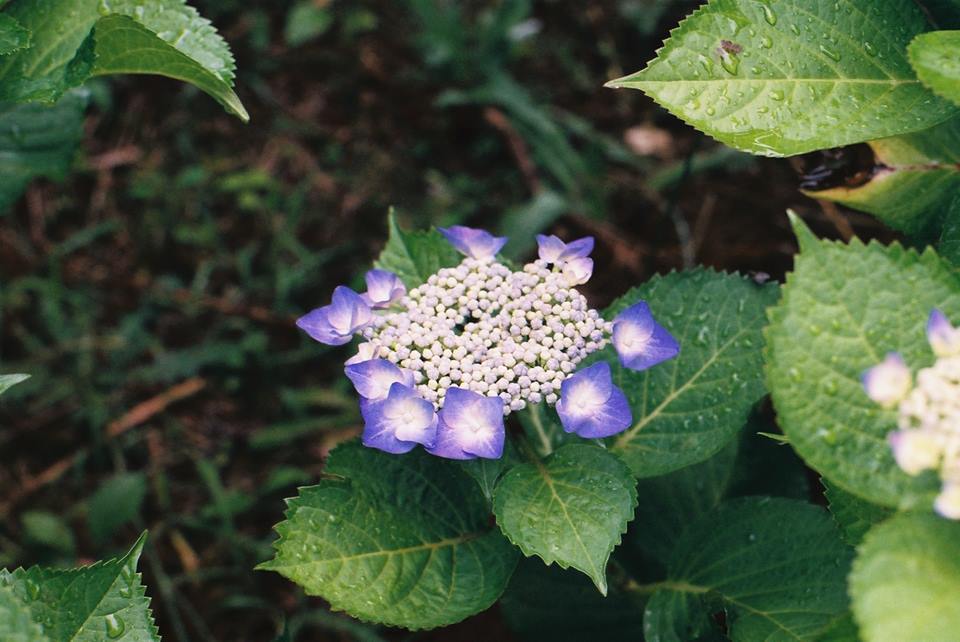 c0012819_16282390.jpg
