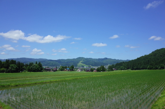 a0287336_22230022.jpg